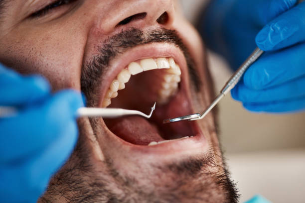  Mount Vernon, MD Holistic Dental Care Services Pros